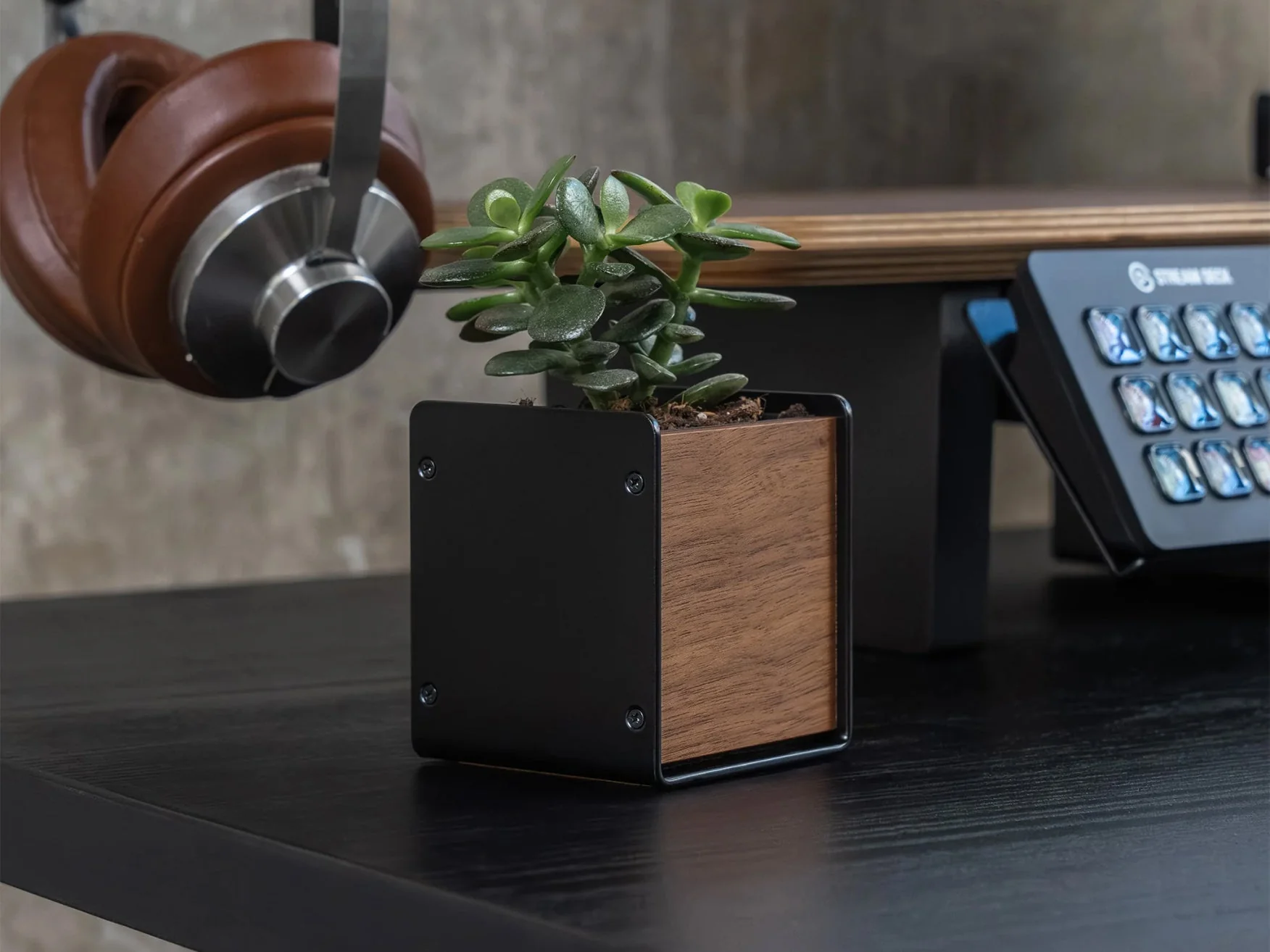 Planter - Image 3